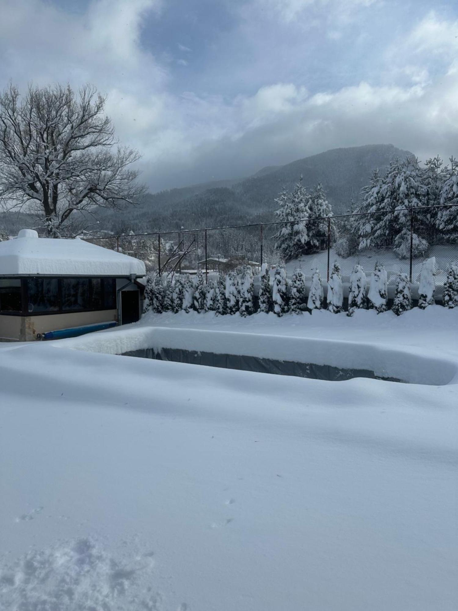 Villa Paradise Beli Iskar Exteriér fotografie