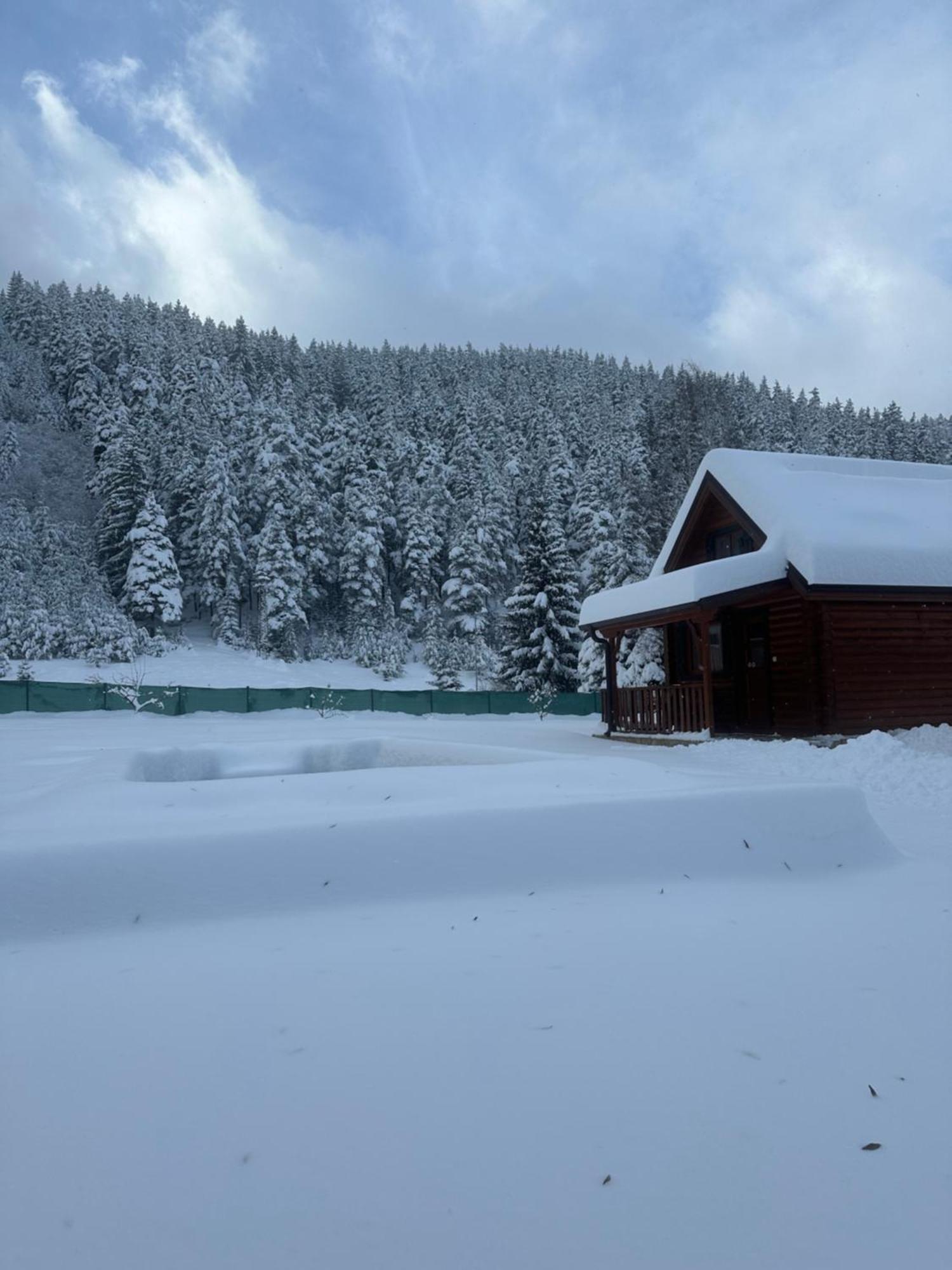 Villa Paradise Beli Iskar Exteriér fotografie