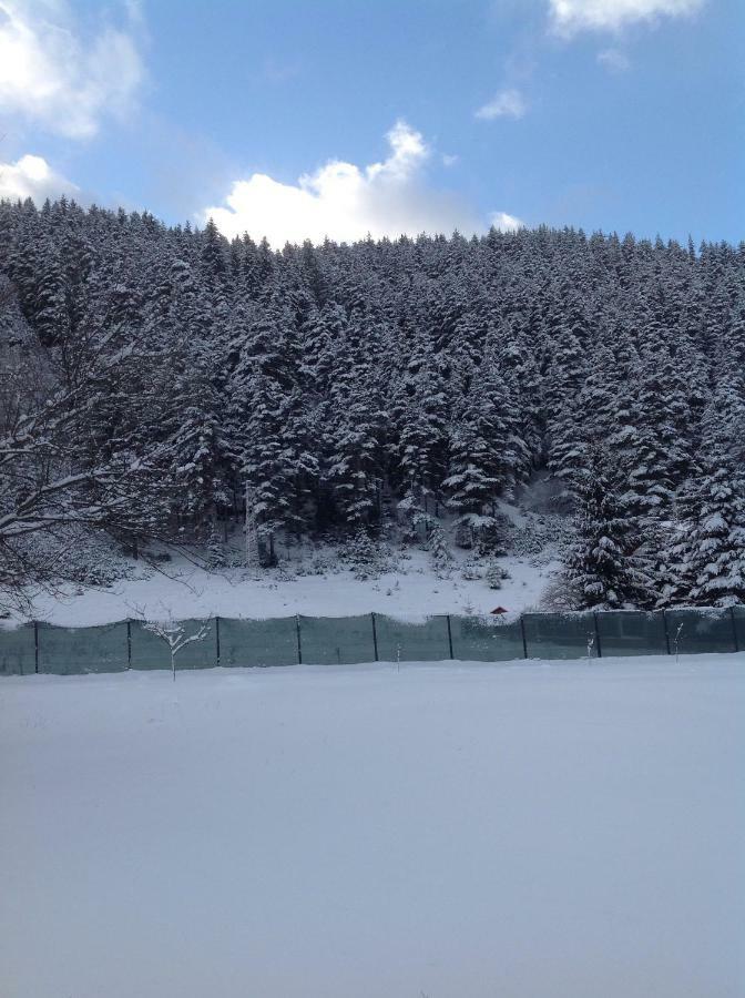 Villa Paradise Beli Iskar Exteriér fotografie