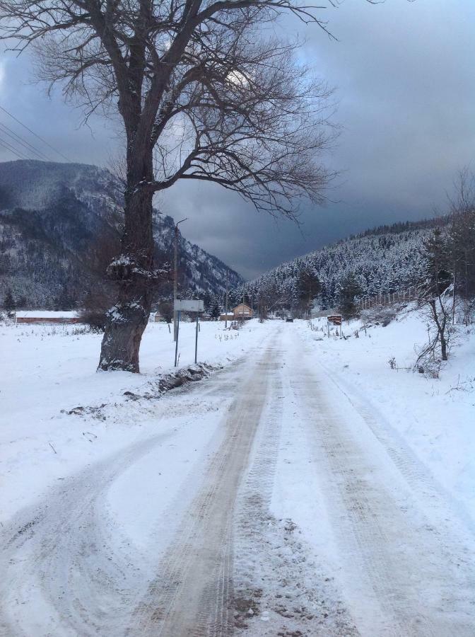 Villa Paradise Beli Iskar Exteriér fotografie