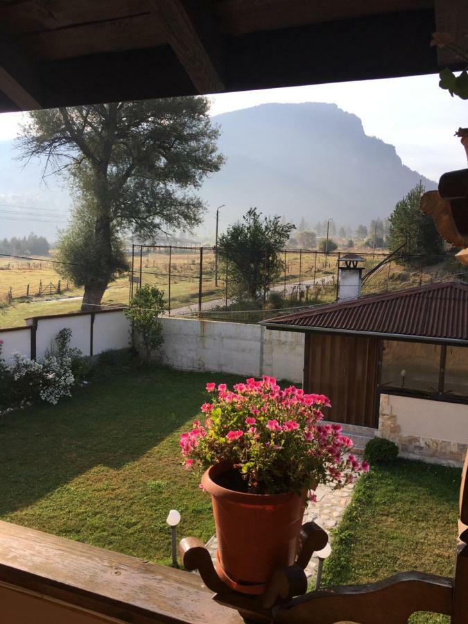 Villa Paradise Beli Iskar Exteriér fotografie
